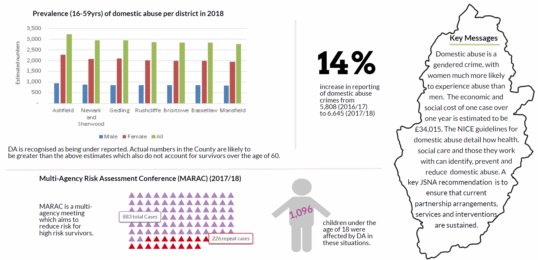 Domestic violence infographic